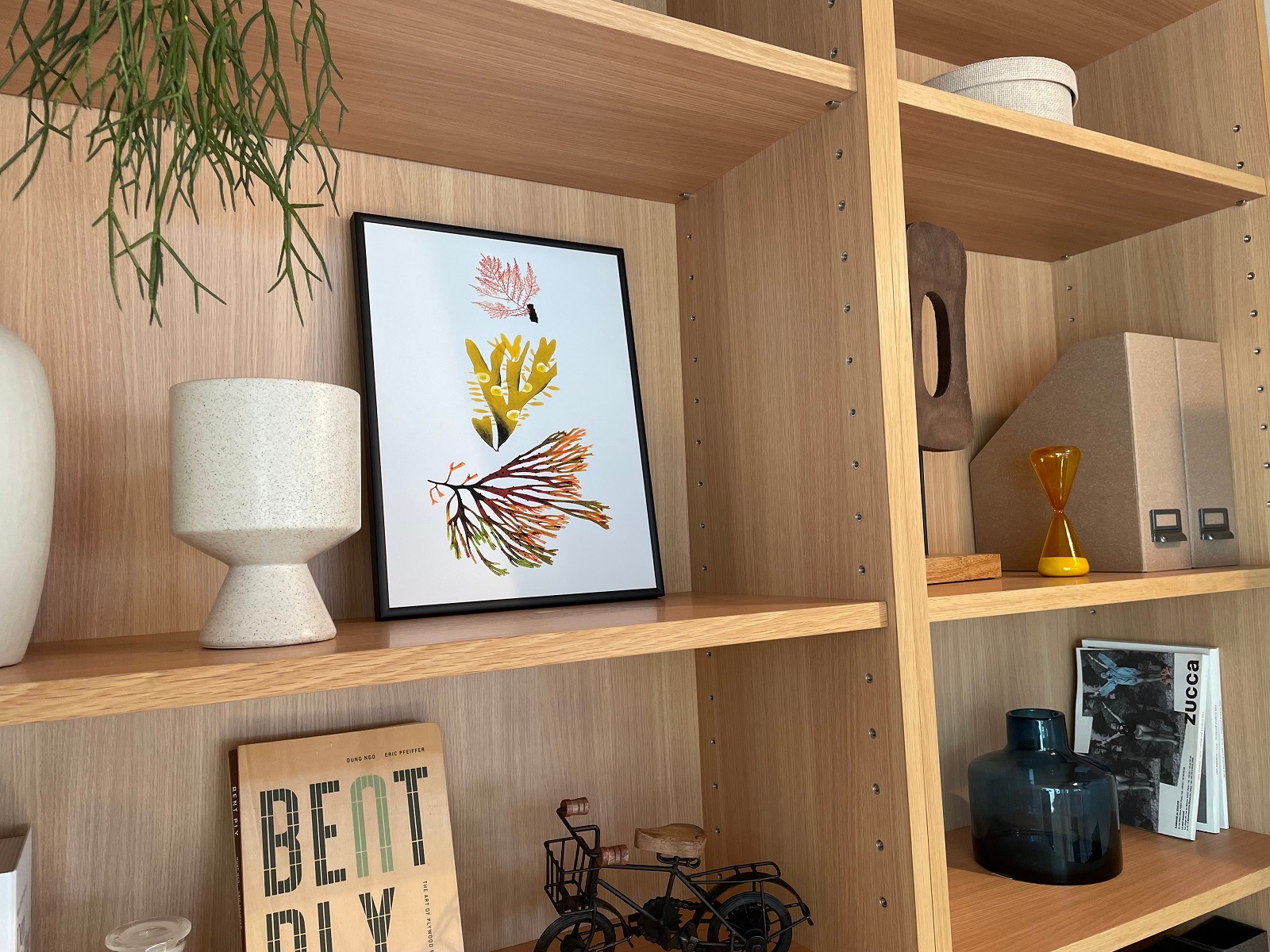 Triple Algae including Yellow and Green／The Dybdahl co.　