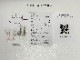 WALL　BIRD MATTE/BIRDS' WORDS