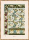 WATER LILY／The Dybdahl co.　