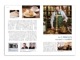 雑誌　Lifte北欧の暮らし　Vol.01