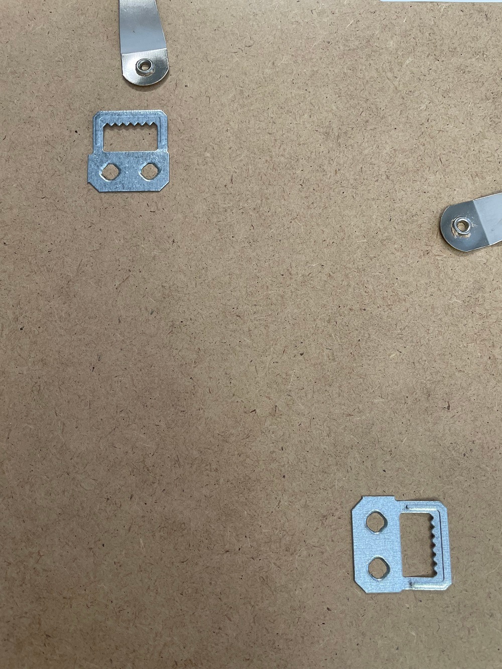 FUNGI XI／The Dybdahl co.　