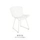 Bertoia Side Chair