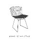 Bertoia Side Chair