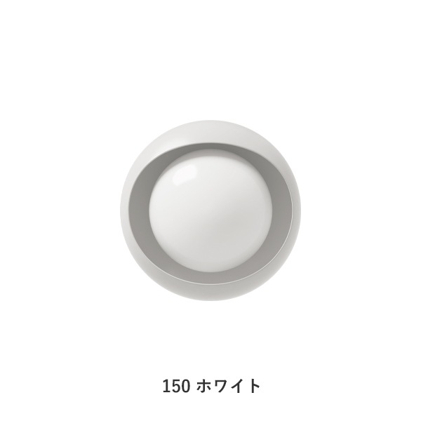CORNEA