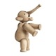 Elephant M