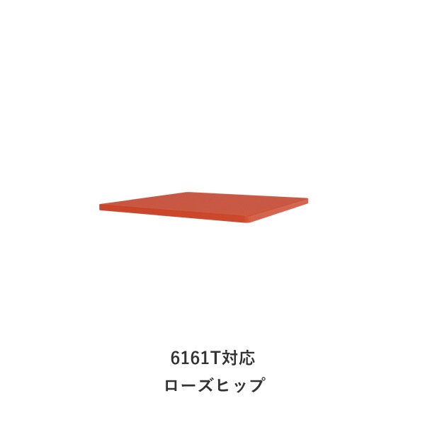 Panton Wire ���������꡼�ʥȥåץѥͥ�/������ա�