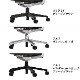 �����ס�Pacific Chair �ʥߥǥ�����ϥ���