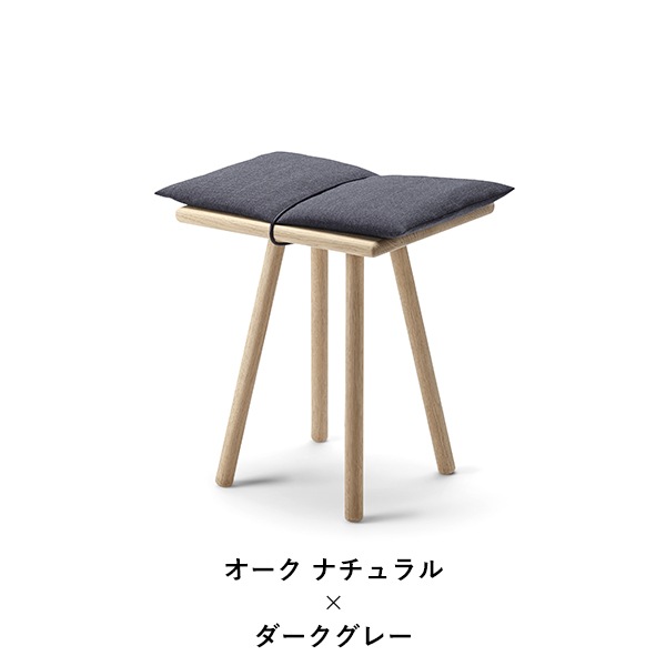 Georg Stool