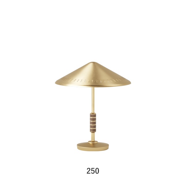GOVERNOR TABLE 250