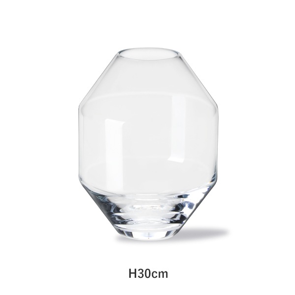 �����佪λ��Hydro Glass Vase