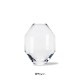 �����佪λ��Hydro Glass Vase