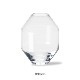 �����佪λ��Hydro Glass Vase