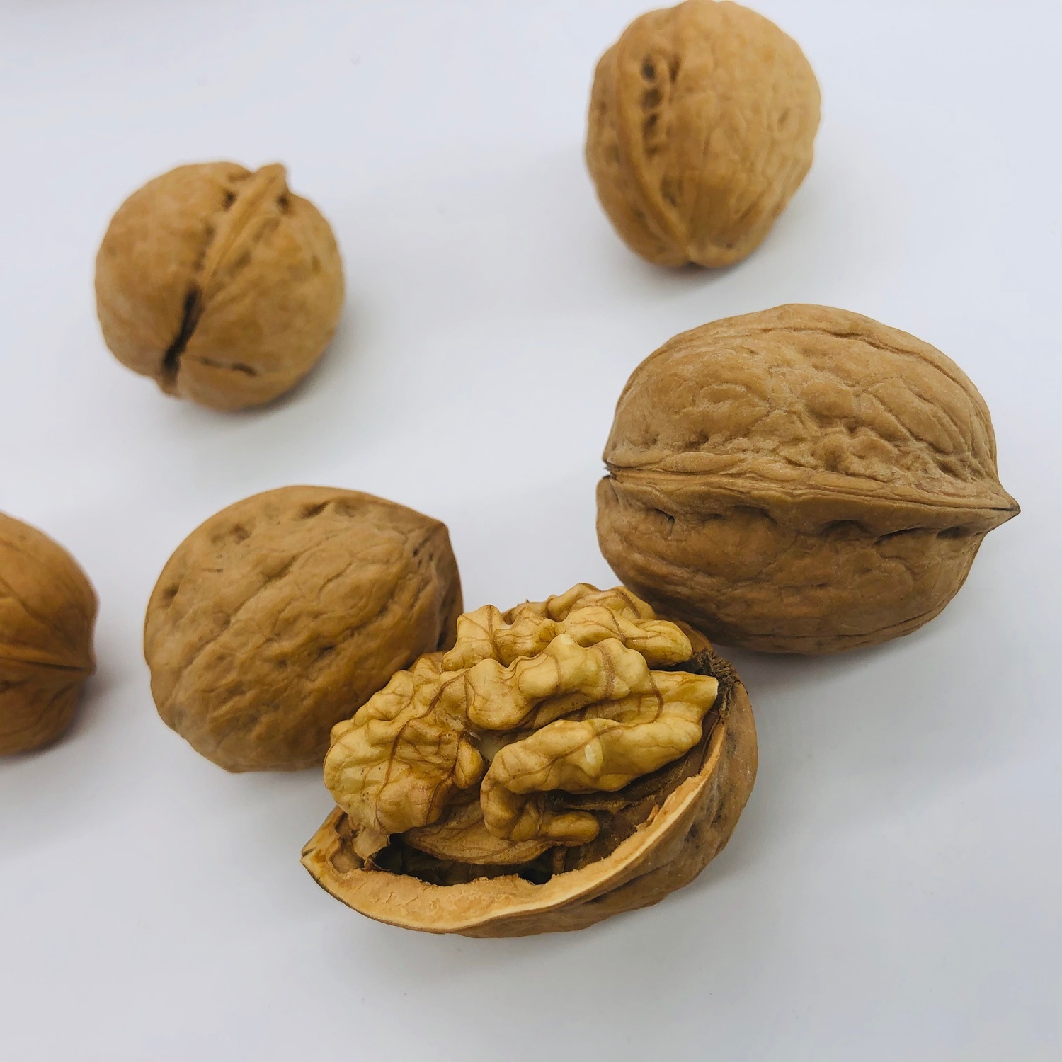 国産くるみの販売・通販なら【アルファーム公式ショップ】長野県産 殻