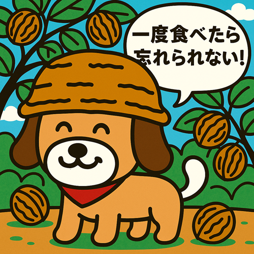 国産くるみ通販｜長野県産くるみ直送｜アルファーム公式ショップ 殻