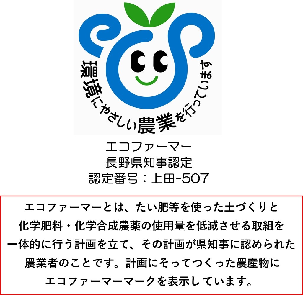 国産くるみの販売・通販は【アルファーム公式ショップ】長野県産 殻