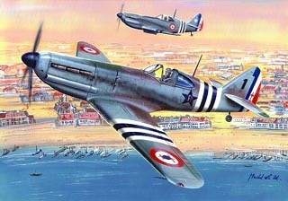 92101 デボワティーヌ D.520 自由フランス空軍 | RSモデル | 飛行機,第