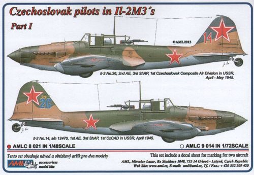 AMLC8021 IL-2M3 シュトルモビク チェコスロバキア 義勇軍パイロット