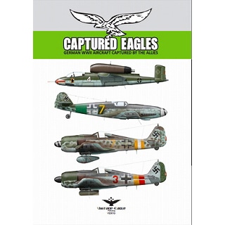VINTAGE EAGLES VE001D32 CAPTURED EAGLES GERMAN WWII AIRCRAFT CAPTURED BY THE ALLIES