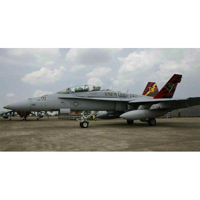 12118 F/A-18D �ۡ��ͥå� VMFA(AW)-242 �Хå� ��Ȣ�������Ƥ��Ƥ��ޤ�