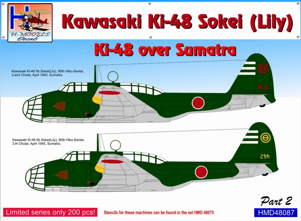 HMD48088 九九式双発軽爆撃機 ｢スマトラ島上空パート3｣ (2機分) | H