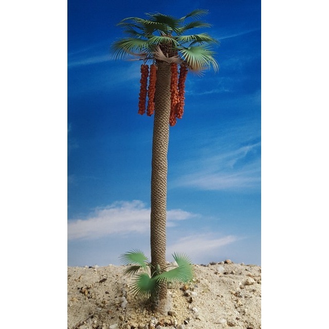 PLM10 ワシントン椰子 #1|建物／情景用パーツ|フィギュア