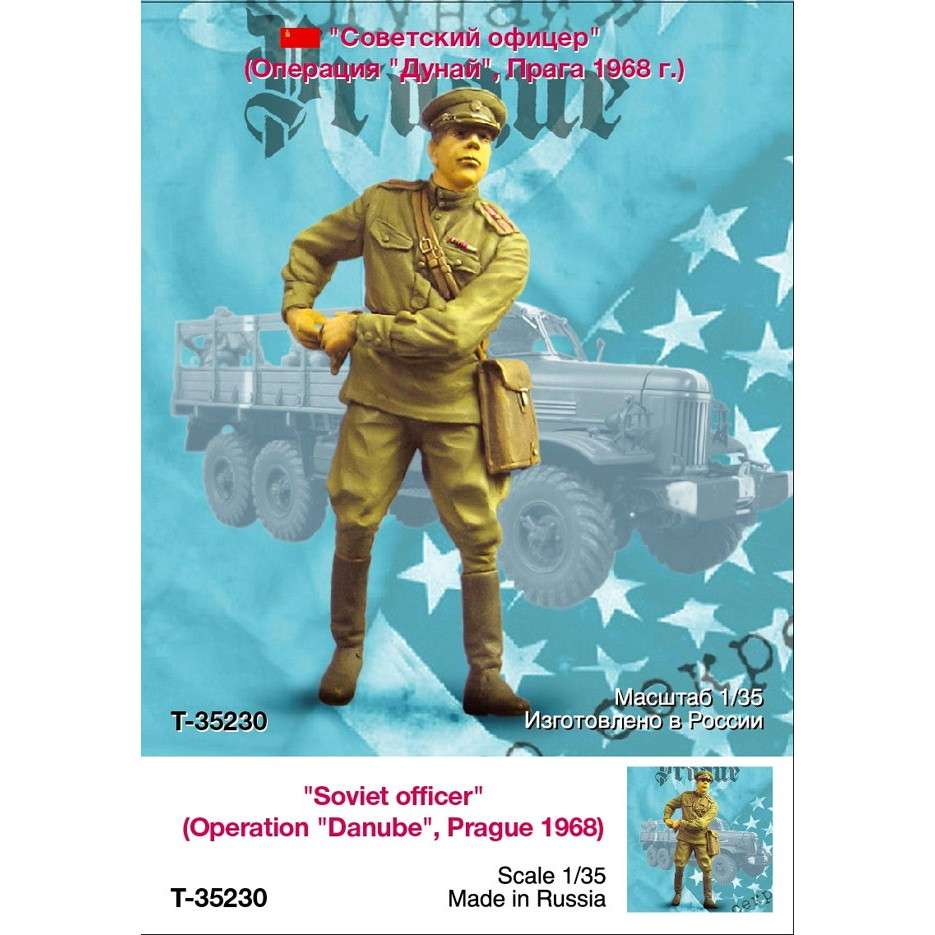 T-35230 ���ӥ��� �δ� ����������(�ɥʥ�����) 1968ǯ