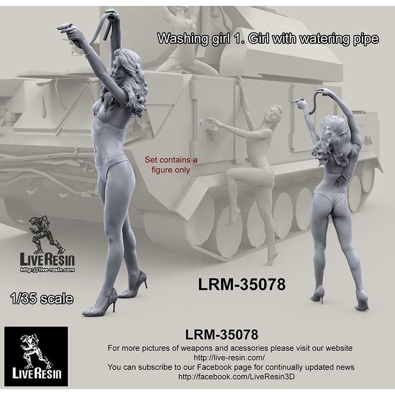 LRM-35078 �����å��󥰥����� 1