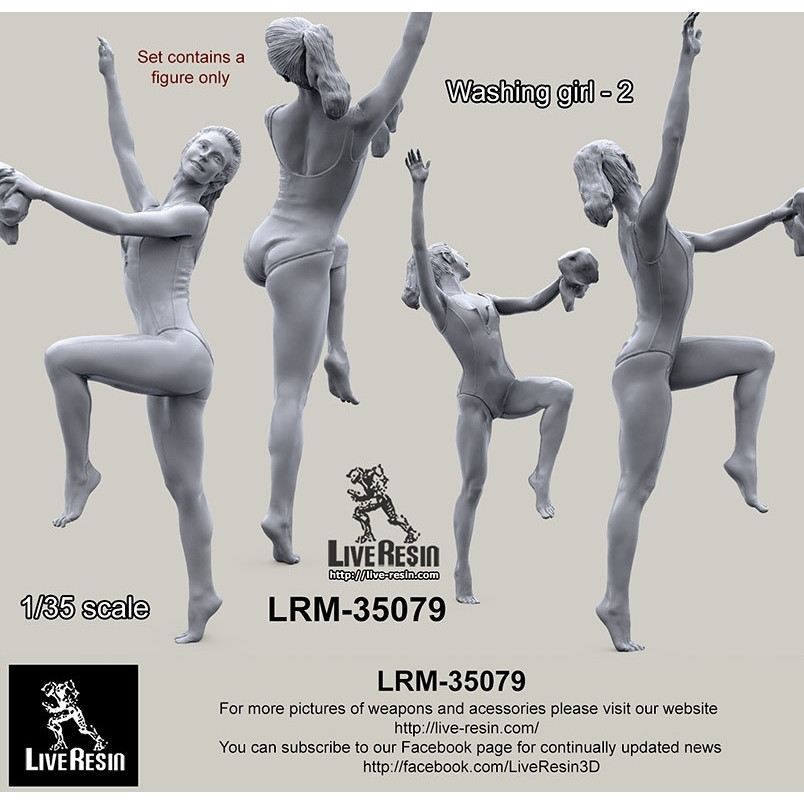 LRM-35079 �����å��󥰥����� 2