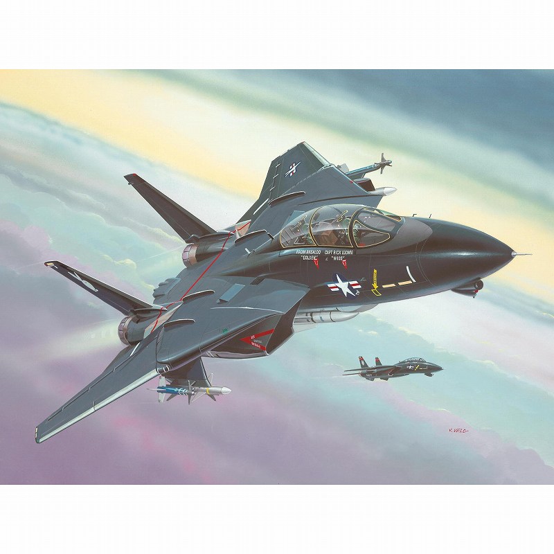 04029 F-14 ブラック トムキャット|大戦後の飛行機モデル|飛行機