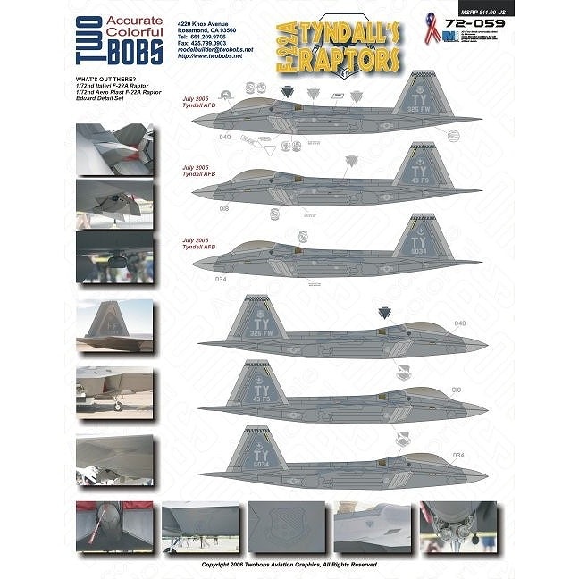 72059 F-22 ラプター ティンダールズラプター|飛行機用デカール|飛行機