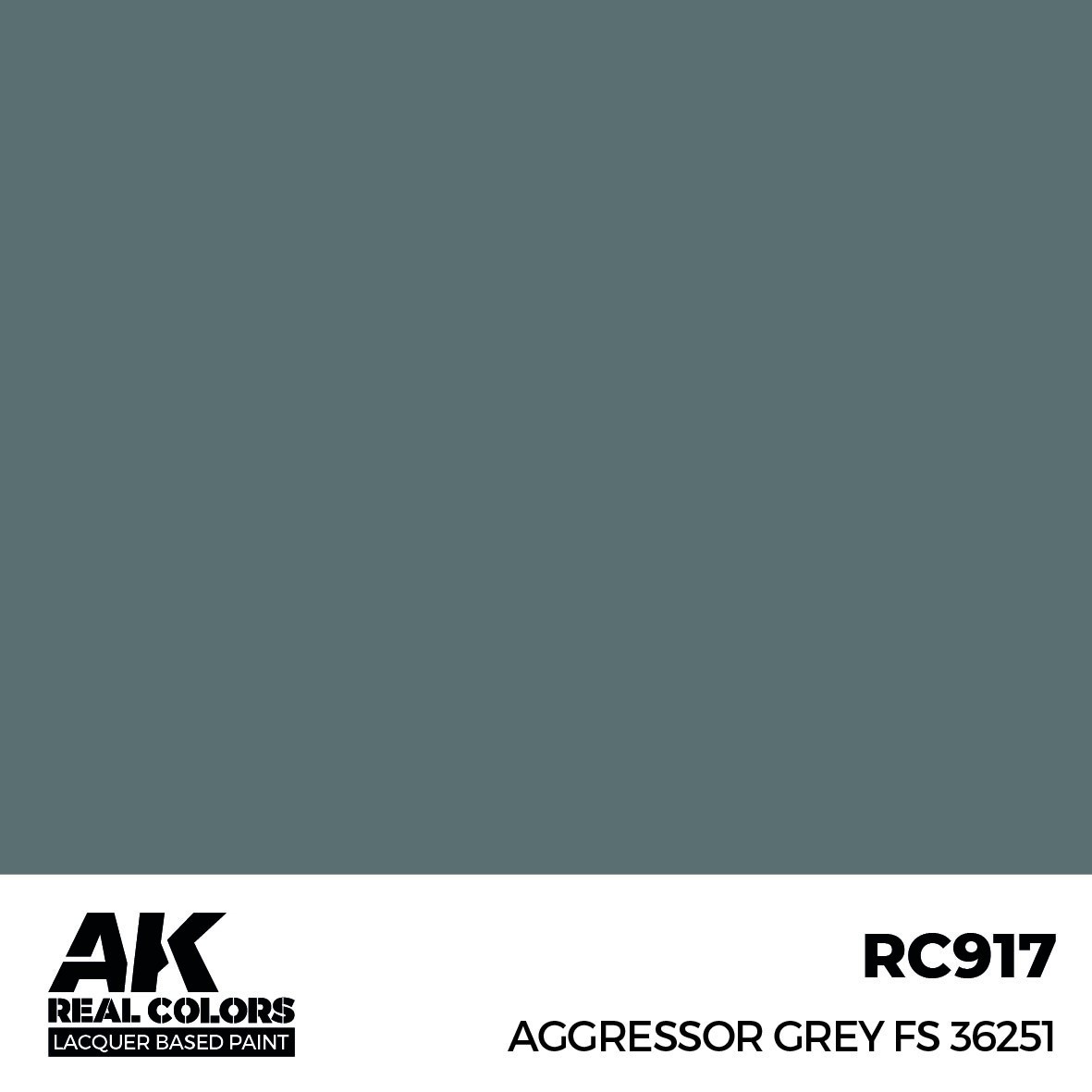 【希少】Photogenic エクスプローラー 美品 ラッカー塗装 リペア済 リアルカラー RC846 ラリーブルー02C 2001-2006 (ラッカー塗料) | AK