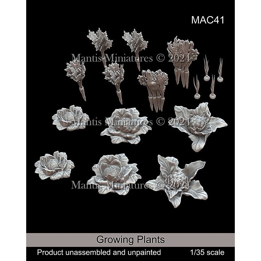 MAC41 1/35 成育中の野菜|建物／情景用パーツ|フィギュア