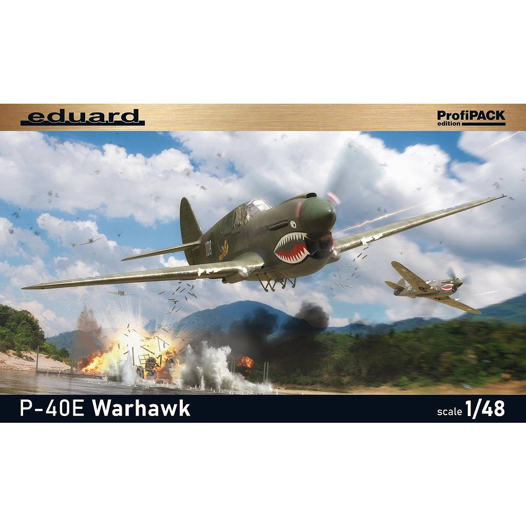 82241 1/48 カーチス P-40E ウォーホーク プロフィパック