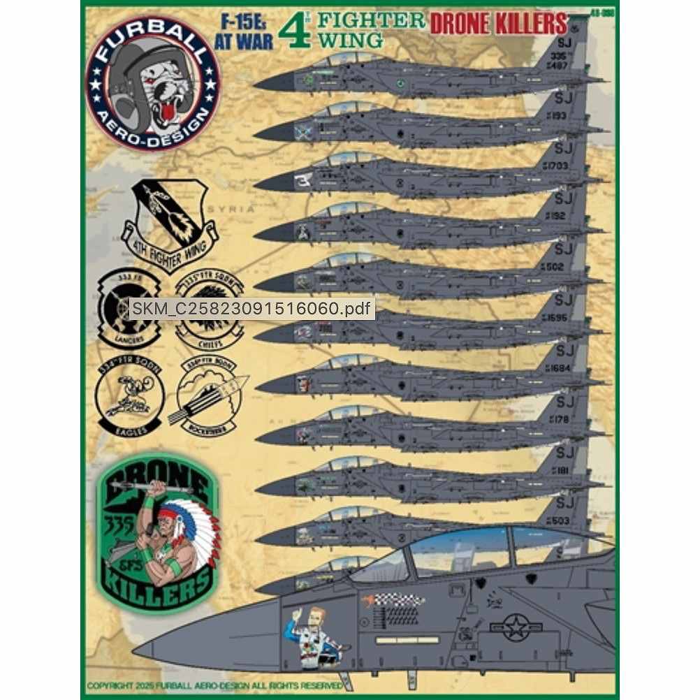 48-098 マクドネル・ダグラス F-15E ストライクイーグル 戦時 第4戦闘航空団 ドローンキラー|飛行機用デカール|飛行機