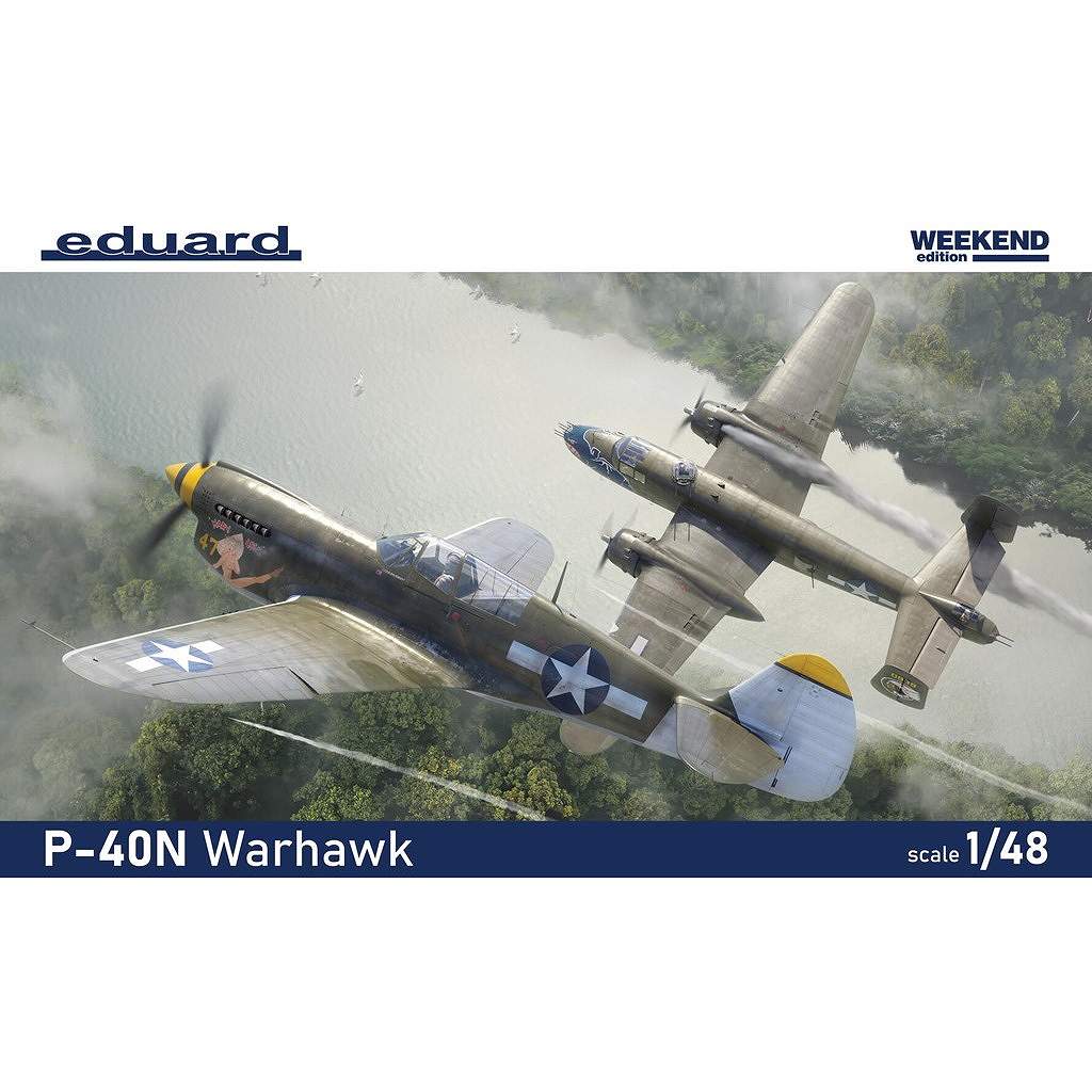 �ں����١�84210 1/48 P-40N �������ۡ��� ������������ɥ��ǥ������
