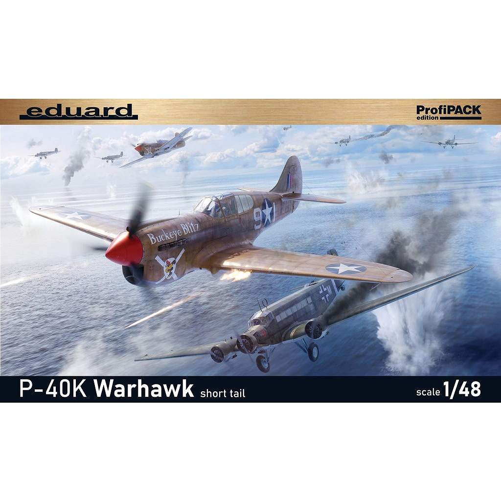 絶版新品希少GMP/ 1/35 P40Eウォーフォーク 太平洋航空基地ジオラマ付