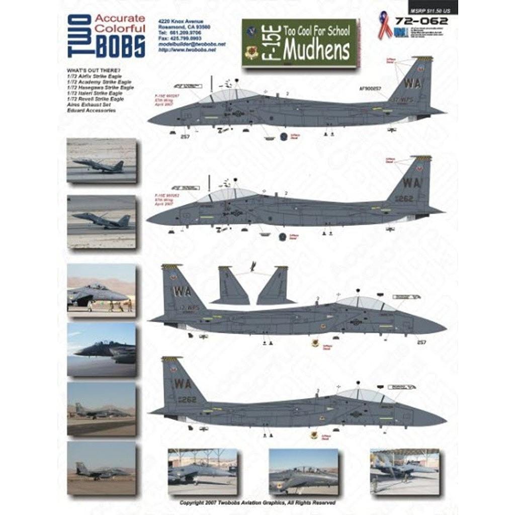 72062 F-15E Too Cool For School Mudhens