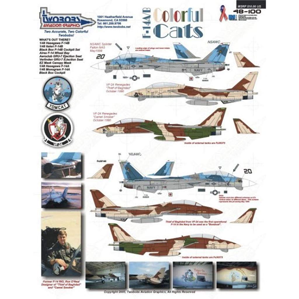 48100 F-14A/B ����ե� ����å� NSAWC/VF-24