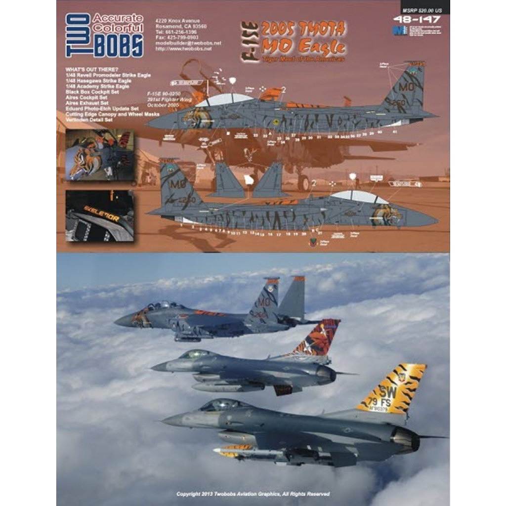 48147 F-15E ���ȥ饤���������� ���������ߡ��� ���� �� ����ꥫ 2005