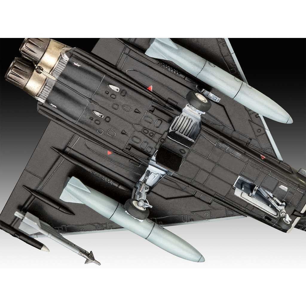 03796 イギリス空軍 ユーロファイター タイフーン RAF | ドイツ