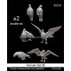 �ڿ����ʡ�35216 1/35 ưʪ���å�66 �ϥ�
