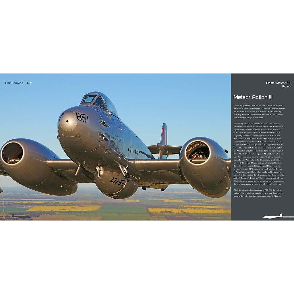 �ڿ����ʡۥ�������եȡ����󡦥ǥ��ơ��� 042 ���������� �ߡ��ƥ��� F.8/FR.9. �ڥͥ��ݥ����ʳ���