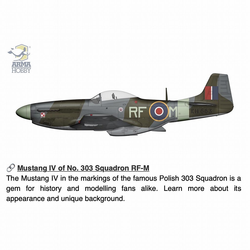 ڿʡ70070 1/72 P-51D ޥ