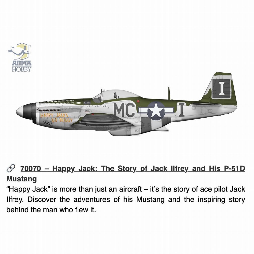 ڿʡ70070 1/72 P-51D ޥ