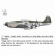 ڿʡ70070 1/72 P-51D ޥ