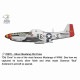ڿʡ70070 1/72 P-51D ޥ