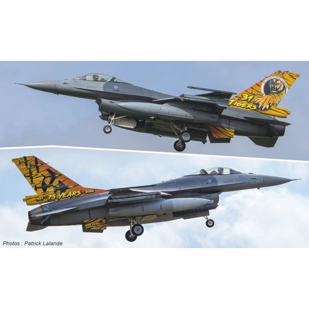 �ڿ����ʡ�72151 �٥륮������ F-16AM �ե����ƥ��󥰥ե��륳�� FA-101 ��31��������������75��ǯ ���������ߡ���2026