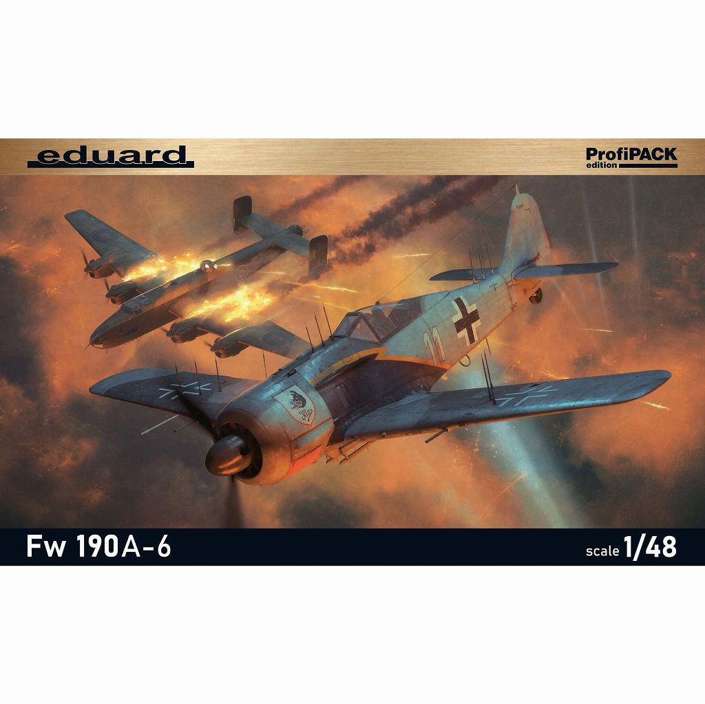 82137 1/48 �ե��å������ Fw190A-6 �ץ��ե��ѥå�