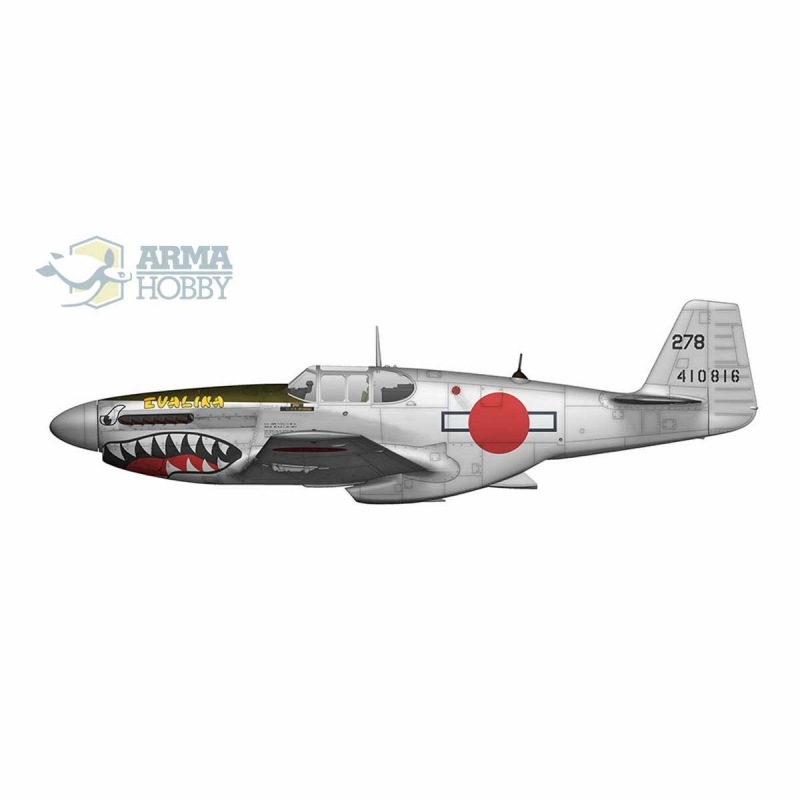 70038 1/72 ノースアメリカン P-51B/C マスタング エキスパート