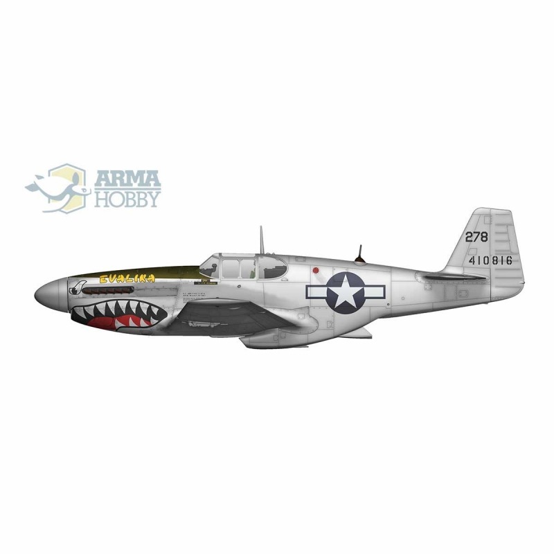 (未使用･未開封品)1/32 P-51B C マスタングIII トランぺッター 1/32 P-51B／マスタングⅢ 完成品 Trumpeter